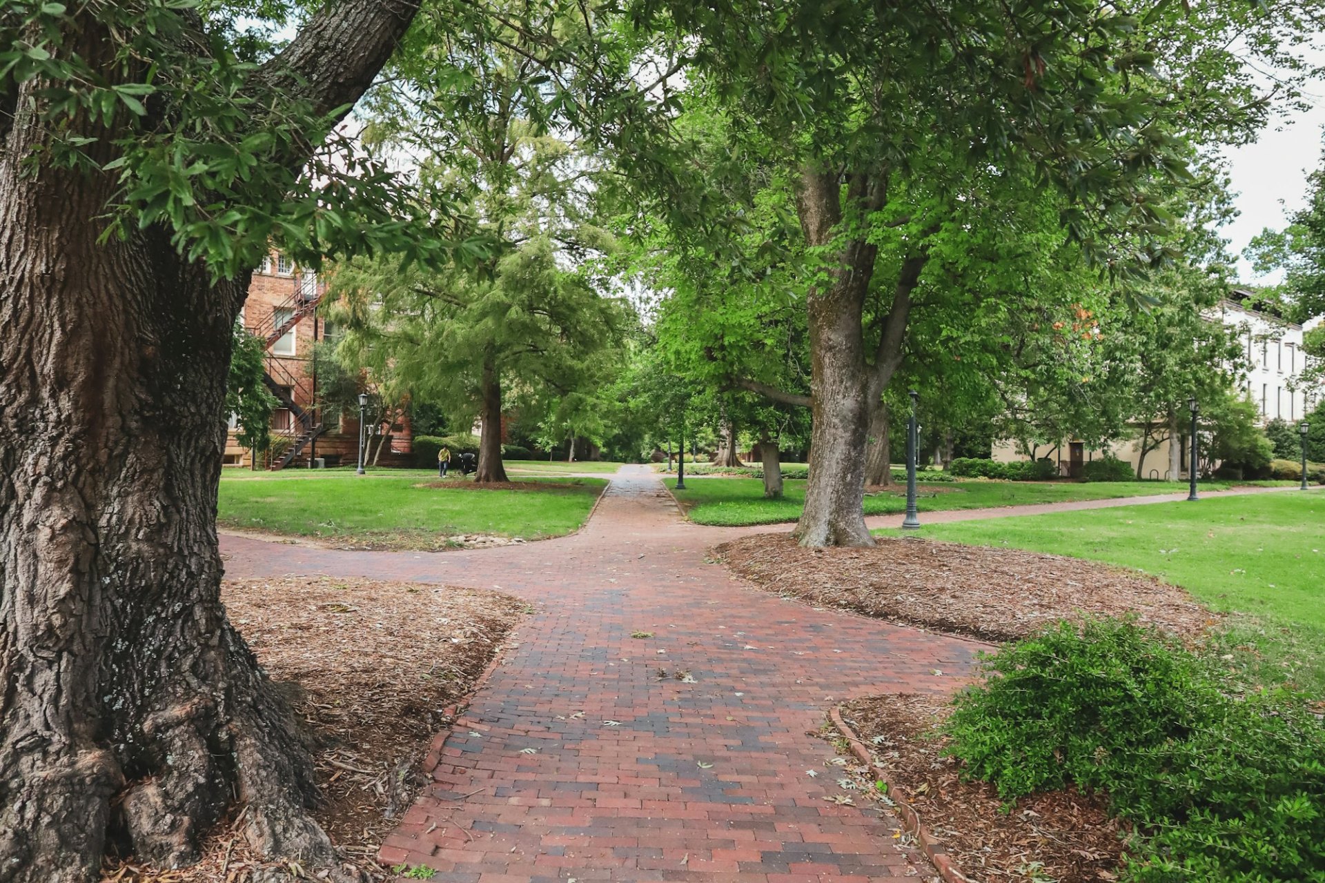 Naugatuck Campus Stay Services